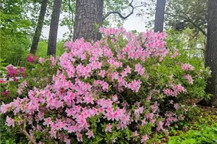 206 Wynnes Ridge Cir SE, Marietta, GA 30067 - Photo 31