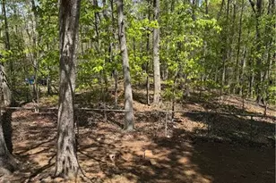 5820 Quail Mountain Trail, Gainesville, GA 30506 - Photo 15