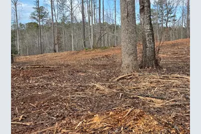 0000 Tippens Road, Canton, GA 30114 - Photo 15