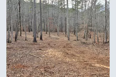 0000 Tippens Road, Canton, GA 30114 - Photo 13