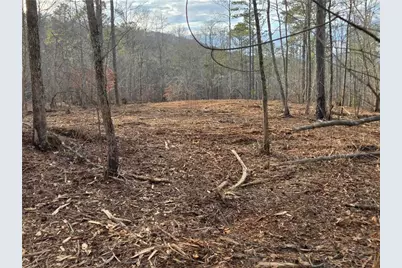 0000 Tippens Road, Canton, GA 30114 - Photo 17