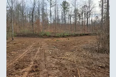 0000 Tippens Road, Canton, GA 30114 - Photo 9