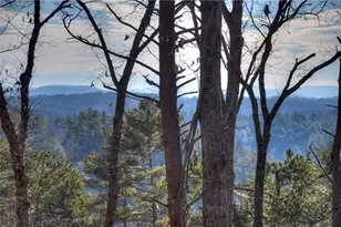 142 Red Oak Trl, Ellijay, GA 30540 - Photo 43