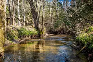 127 Twin Creeks Rd, Blue Ridge, GA 30541 - Photo 3