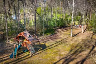 127 Twin Creeks Rd, Blue Ridge, GA 30541 - Photo 71