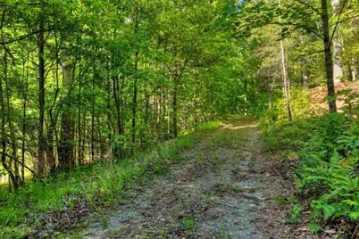 8.52 Ac McNelley Road, Morganton, GA 30560 - Photo 11
