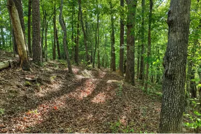 8.52 Ac McNelley Road, Morganton, GA 30560 - Photo 37