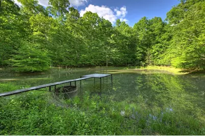 8.52 Ac McNelley Road, Morganton, GA 30560 - Photo 3