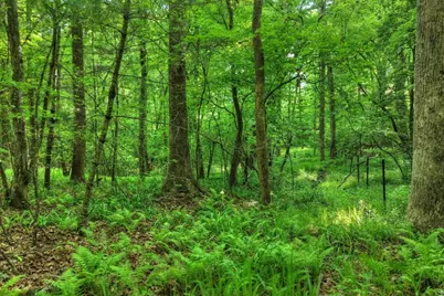 8.52 Ac McNelley Road, Morganton, GA 30560 - Photo 27