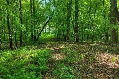 8.52 Ac McNelley Road, Morganton, GA 30560 - Photo 17