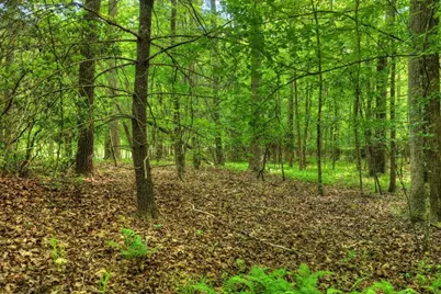 8.52 Ac McNelley Road, Morganton, GA 30560 - Photo 41