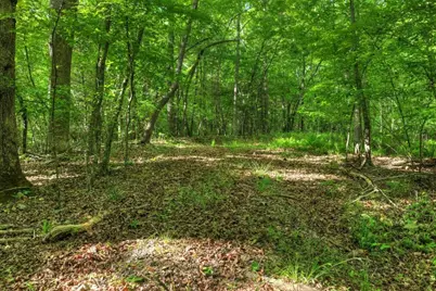 8.52 Ac McNelley Road, Morganton, GA 30560 - Photo 25