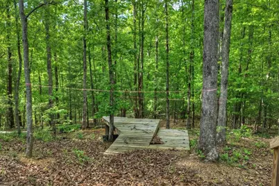 8.52 Ac McNelley Road, Morganton, GA 30560 - Photo 9