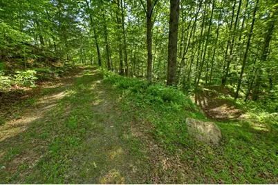 8.52 Ac McNelley Road, Morganton, GA 30560 - Photo 45