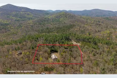 156 Peter Knob Road, Blue Ridge, GA 30513 - Photo 29