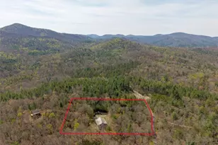 156 Peter Knob Rd, Blue Ridge, GA 30513 - Photo 29