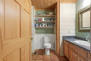 156 Peter Knob Rd, Blue Ridge, GA 30513 - Photo 15