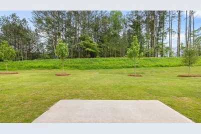 93 White Spruce Way, Newnan, GA 30265 - Photo 39
