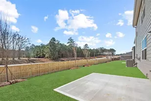 97 White Spruce Wy, Newnan, GA 30265 - Photo 5