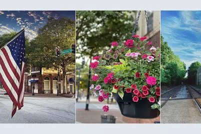 97 White Spruce Way, Newnan, GA 30265 - Photo 15