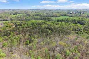 219 John Garner Rd, Dahlonega, GA 30533 - Photo 75