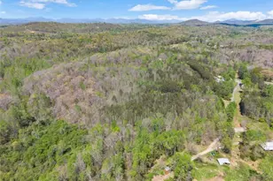 219 John Garner Rd, Dahlonega, GA 30533 - Photo 73