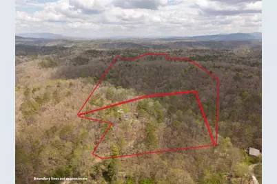 134 Nicholson Lane, Talking Rock, GA 30175 - Photo 67