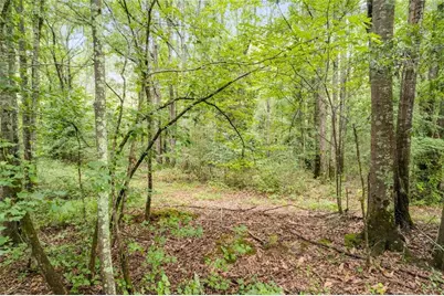 104 Martin Cemetary Road, Carrollton, GA 30117 - Photo 19