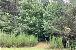 Lot 37 Eastside Dr, Ellijay, GA 30536 - Photo 1