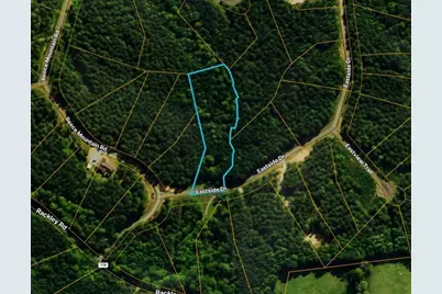 Lot 37 Eastside Drive, Ellijay, GA 30536 - Photo 3