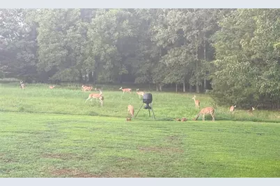 695 Cooper Road, Social Circle, GA 30025 - Photo 43