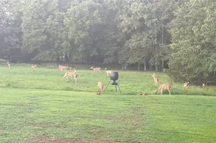 695 Cooper Rd, Social Circle, GA 30025 - Photo 43