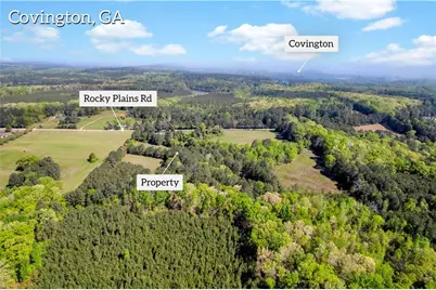 1025 Rocky Plains Road, Covington, GA 30016 - Photo 3