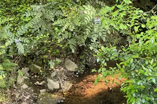 3135 Laura Ln, Lithia Springs, GA 30122 - Photo 63