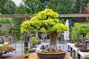 5604 Meadowstone Walk, Kennesaw, GA 30152 - Photo 45