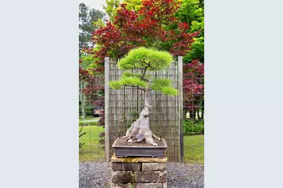 5604 Meadowstone Walk, Kennesaw, GA 30152 - Photo 37