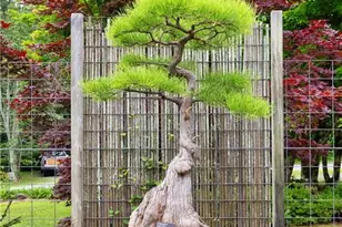 5604 Meadowstone Walk, Kennesaw, GA 30152 - Photo 37