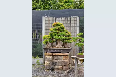 5604 Meadowstone Walk, Kennesaw, GA 30152 - Photo 43