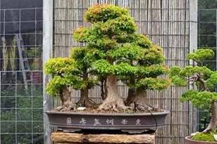 5604 Meadowstone Walk, Kennesaw, GA 30152 - Photo 43