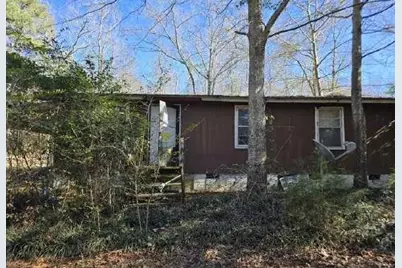 904 Travelers Home Church Road, Ideal, GA 31041 - Photo 3