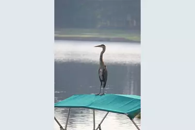 6425 Spinnaker Lane, Alpharetta, GA 30005 - Photo 39