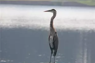 6425 Spinnaker Ln, Alpharetta, GA 30005 - Photo 39