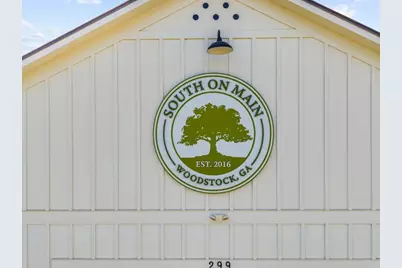 674 Brashy Street, Woodstock, GA 30188 - Photo 69