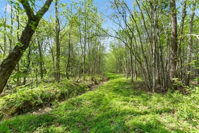319 River Valley Road, Dawsonville, GA 30534 - Photo 55