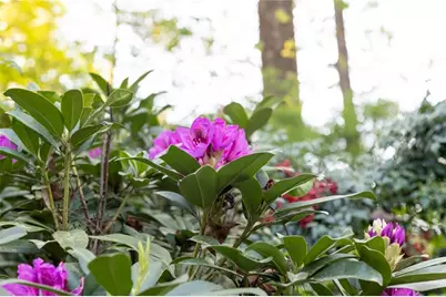 1856 Kristen Mill Way, Marietta, GA 30062 - Photo 81