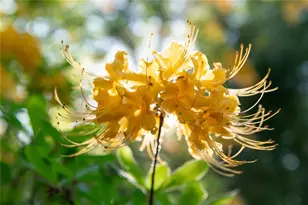 1856 Kristen Mill Way, Marietta, GA 30062 - Photo 77