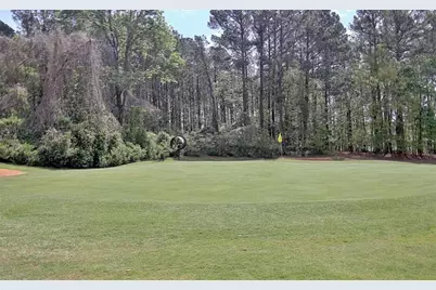 110 Sandtrap Ridge, Peachtree City, GA 30269 - Photo 73