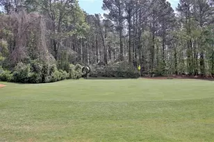 110 Sandtrap Ridge, Peachtree City, GA 30269 - Photo 73