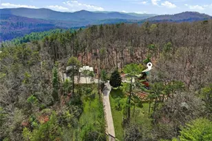 1399 Old Parker Pl Rd, Ellijay, GA 30536 - Photo 59