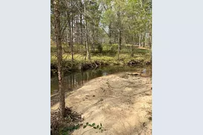 54 Coppermine Road, Buchanan, GA 30113 - Photo 3